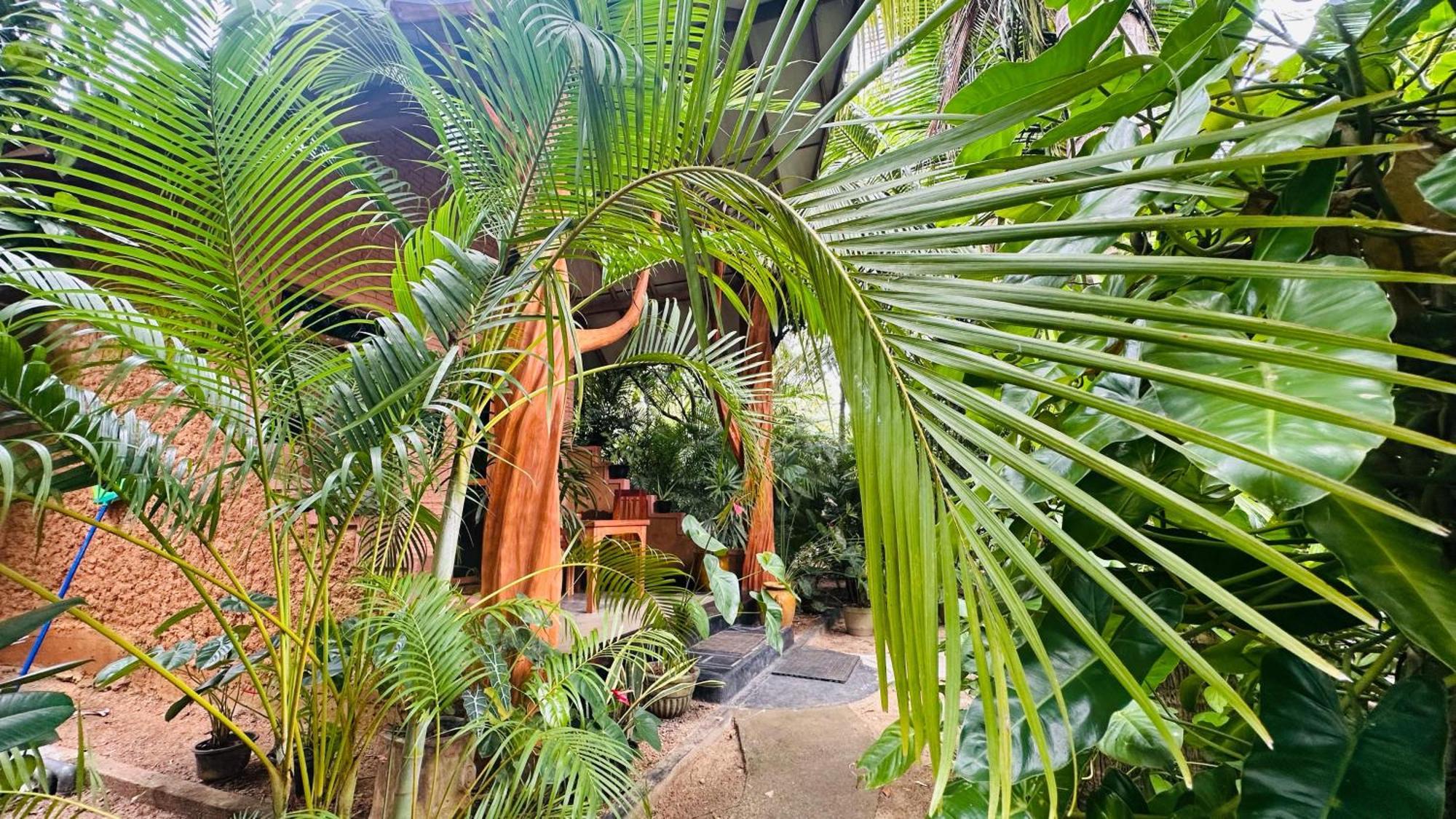 Ama Eco Lodge Sigiriya Exterior foto